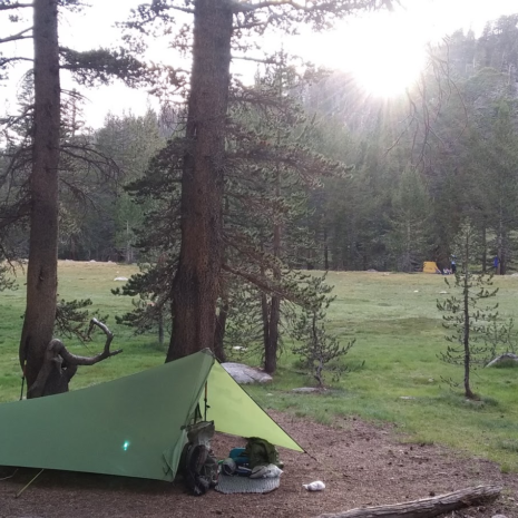 20D silpoly green tea whitney 20D silpoly green tea whitney